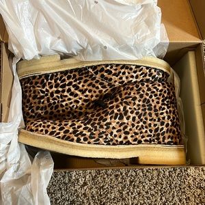 Clarks Desert Boots